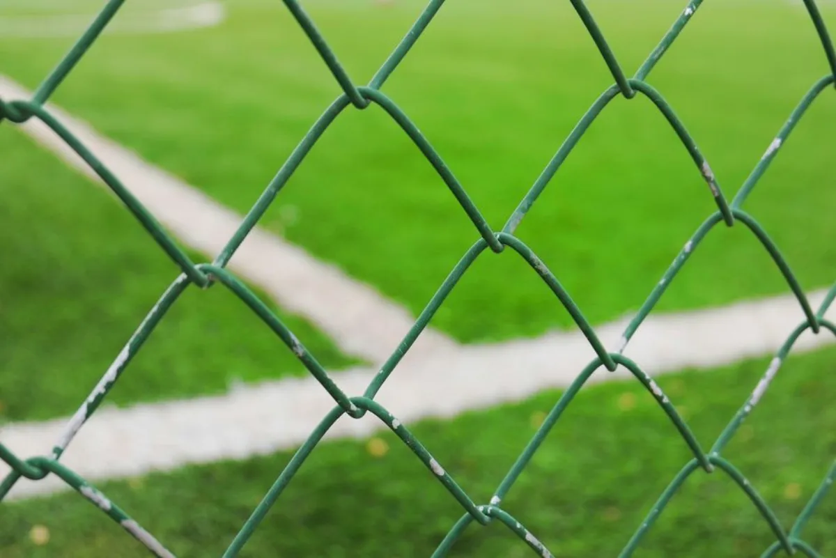 sports security